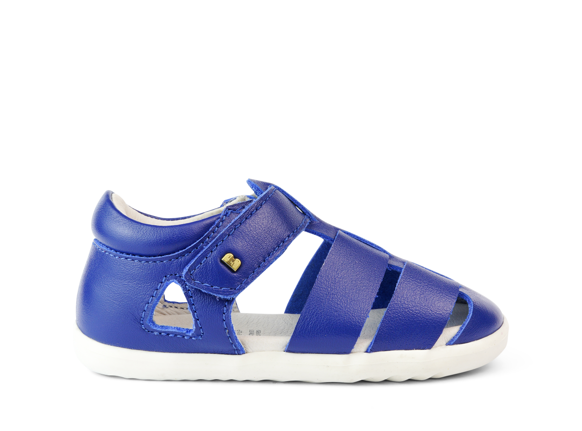 Step Up Tidal Blueberry