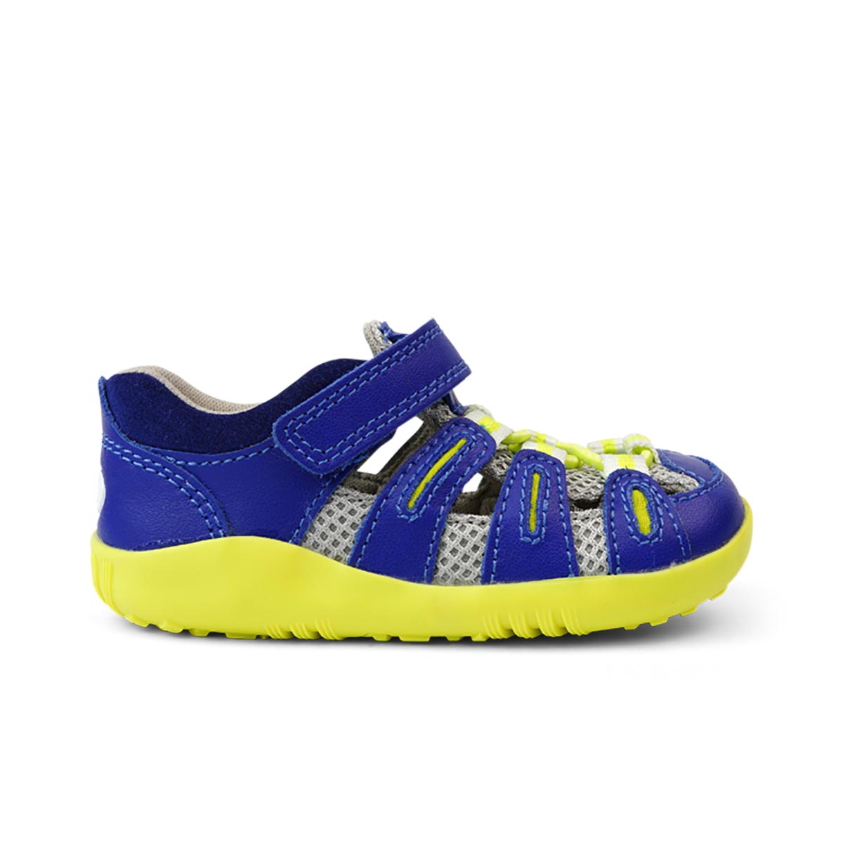 Step Up Summit Blueberry + Neon