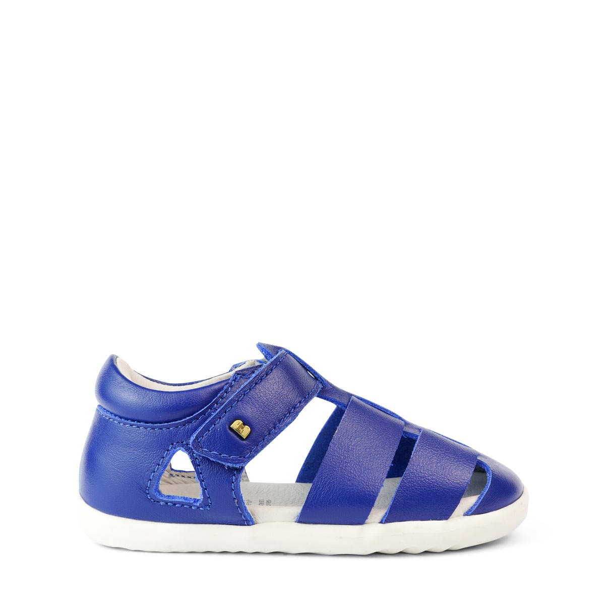 Step Up Tidal Blueberry