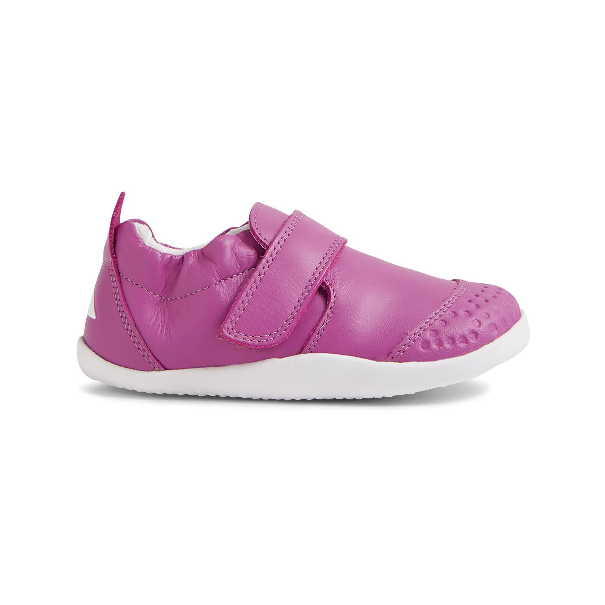 Xplorer Go Orchid