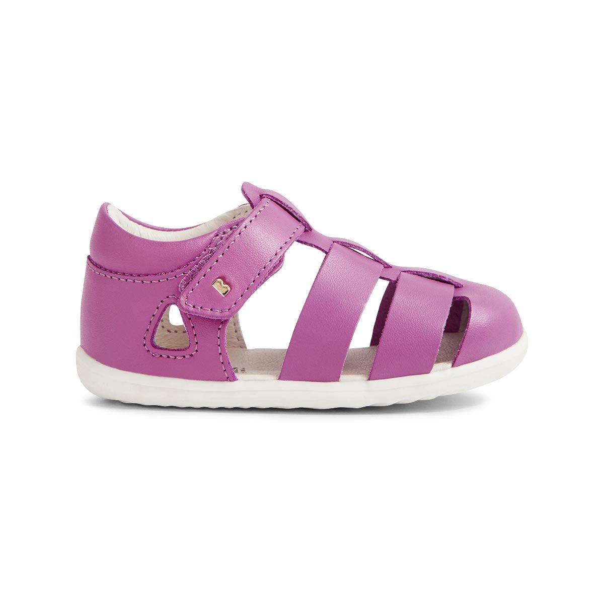 Step Up Tidal Orchid