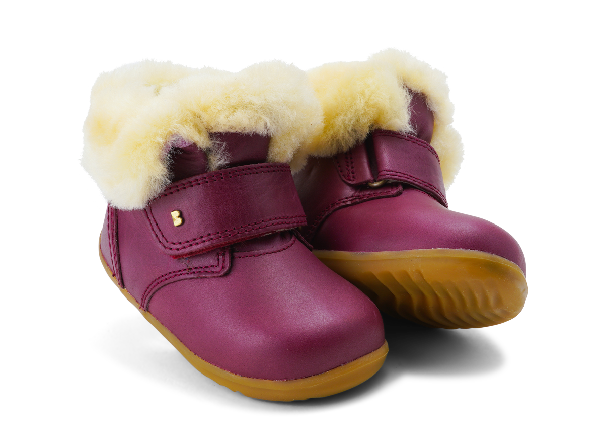 Step Up Desert Arctic Boysenberry