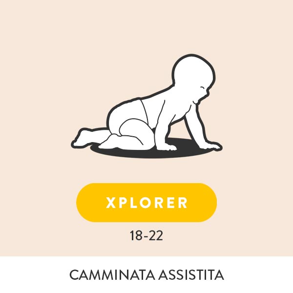 Xplorer